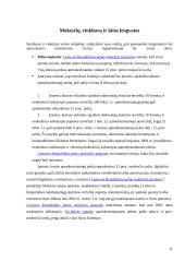 Vyriausybės veiklos įtaka verslo organizacijoms 11 puslapis