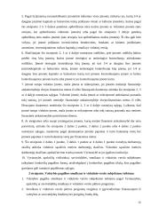 Vyriausybės veiklos įtaka verslo organizacijoms 15 puslapis