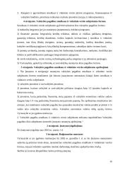 Vyriausybės veiklos įtaka verslo organizacijoms 16 puslapis