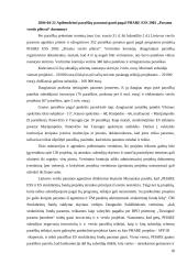 Vyriausybės veiklos įtaka verslo organizacijoms 18 puslapis