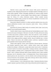 Vyriausybės veiklos įtaka verslo organizacijoms 20 puslapis