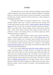 Vyriausybės veiklos įtaka verslo organizacijoms 3 puslapis