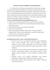 Vyriausybės veiklos įtaka verslo organizacijoms 4 puslapis