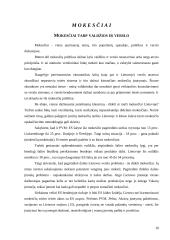 Vyriausybės veiklos įtaka verslo organizacijoms 10 puslapis