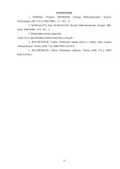 Visuminė paklausa ir pasiūla. Klasikinė pusiausvyra 17 puslapis