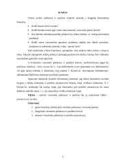 Visuminė paklausa ir pasiūla. Klasikinė pusiausvyra 3 puslapis