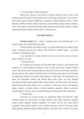 Visuminė paklausa ir pasiūla. Klasikinė pusiausvyra 7 puslapis