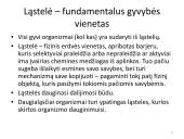 Ląstelės dalijimasis – mitozė  ir mejozė  4 puslapis