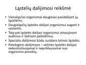 Ląstelės dalijimasis – mitozė  ir mejozė  6 puslapis