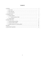 Visuminės paklausos ir pasiūlos modeliai bei klasikinė pusiausvyra 2 puslapis