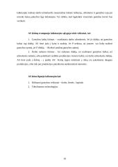 Visuminės paklausos ir pasiūlos modeliai bei klasikinė pusiausvyra 10 puslapis