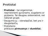 Protistai 2 puslapis