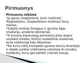 Protistai 6 puslapis