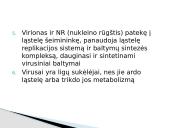 Virusai pristatymas 2 puslapis