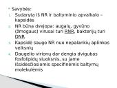 Virusai pristatymas 4 puslapis