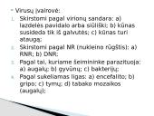 Virusai pristatymas 5 puslapis