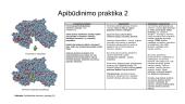 Egzamino užduočių tendencijos 12 puslapis