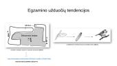 Egzamino užduočių tendencijos 3 puslapis