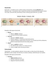 Angliavandeniai konspektas 2 puslapis