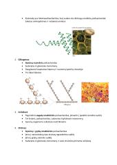 Angliavandeniai konspektas 3 puslapis