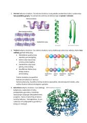 Baltymai konspektas 2 puslapis