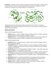 Baltymai konspektas 3 puslapis