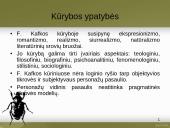 Francas Kafka skaidrės 11 puslapis