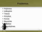 Francas Kafka skaidrės 13 puslapis