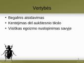 Francas Kafka skaidrės 14 puslapis