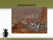 Francas Kafka skaidrės 15 puslapis