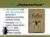 Francas Kafka skaidrės 16 puslapis