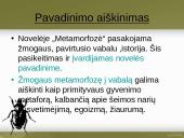 Francas Kafka skaidrės 17 puslapis