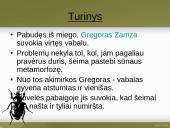 Francas Kafka skaidrės 18 puslapis