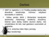 Francas Kafka skaidrės 5 puslapis