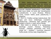 Francas Kafka skaidrės 6 puslapis