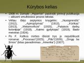 Francas Kafka skaidrės 10 puslapis