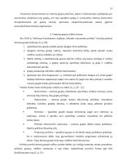 Visuomeninių organizacijų ir viešojo administravimo institucijų sąveika 12 puslapis