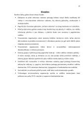 Visuomeninių organizacijų ir viešojo administravimo institucijų sąveika 19 puslapis