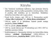 Antanas Baranauskas 1835-1902 6 puslapis