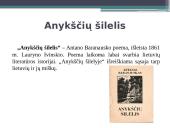 Antanas Baranauskas 1835-1902 7 puslapis