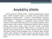 Antanas Baranauskas 1835-1902 8 puslapis