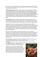 Vitaminai ir jų reikšmė 3 puslapis