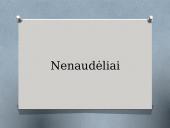 K. Donelaitis ir apie „Metus“  17 puslapis