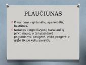 K. Donelaitis ir apie „Metus“  19 puslapis