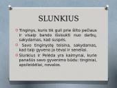 K. Donelaitis ir apie „Metus“  20 puslapis