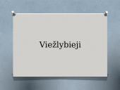 K. Donelaitis ir apie „Metus“  9 puslapis