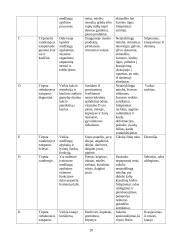 Vitaminai ir jų reikšmė žmogaus organizmui 20 puslapis