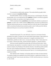 Vokiečių filosofija 3 puslapis