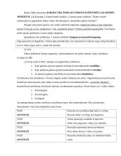 Vokiečių filosofija 4 puslapis