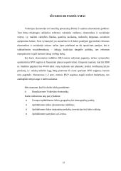 Vokietijos ekonomika 13 puslapis